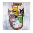 Foals : Tapes CD
