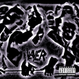 Slayer : Undisputed Attitude