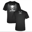 Alterbridge : Skull With Wings
