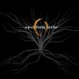 A Perfect Circle : Roots