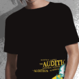 The Audition : The Last Birds