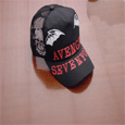 Avenged Sevenfold : Death Bat Side Trucker