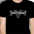 Borknagar : Dragon