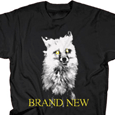 Brand New : Fox