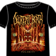 Decrepit Birth : Polarity
