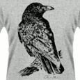 Deaf Havana : CROW
