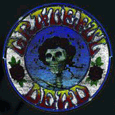 Grateful Dead : Skull-N-Roses-Circle