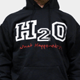 H2O : What Happened