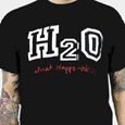 H2O : What Happened