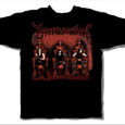 Immortal : Demons of Metal (U.s.a)
