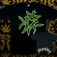 Kottonmouth Kings : Tasters Choice