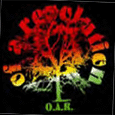 O.A.R : Vine Tree (Girls)