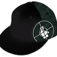 Public Enemy : Rebirth Of A Nation