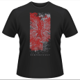 Serpentcult : Serpentcult