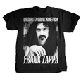 Frank Zappa : Understanding America