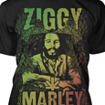 Ziggy Marley : Frame