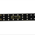 Angels And Airwaves : Logo