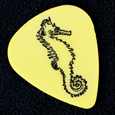 Allie Moss : Seahorse (Guitar Pick)