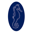 Allie Moss : Seahorse