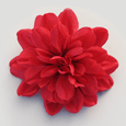 Caro Emerald : Hair Flower