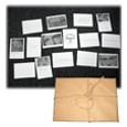 The Drums : Card Set
