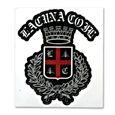 Lacuna Coil : Shield