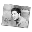 Matt Cardle : Signed Photocard