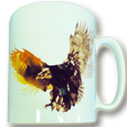Snow Patrol : Eagle Mug