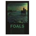Foals : UK/Eire Tour 2013 Art Print