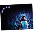 Kaki King : Tree Poster (22 x 28 inch)