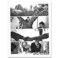 Red Hot Chili Peppers : Spliced Photos