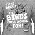 Angry Birds : Aren't The Birds