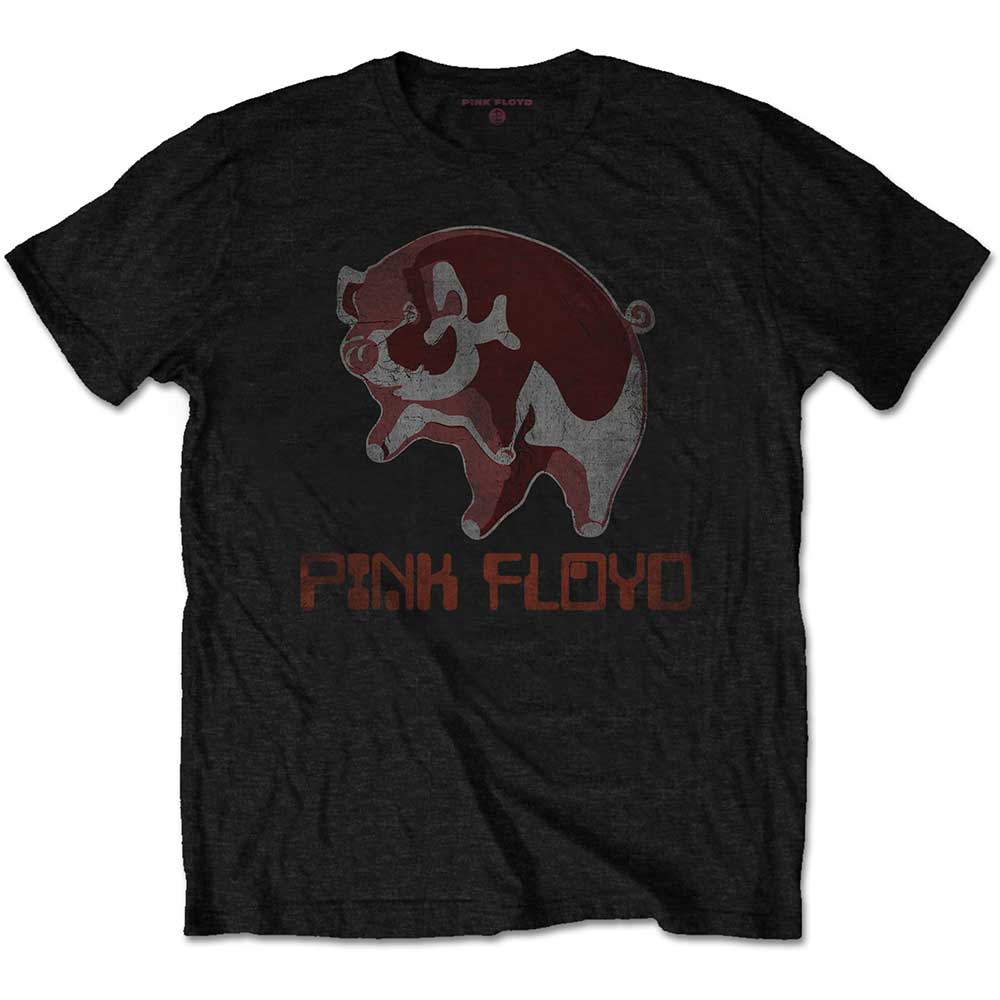 Pink Floyd - Ethnic Pig